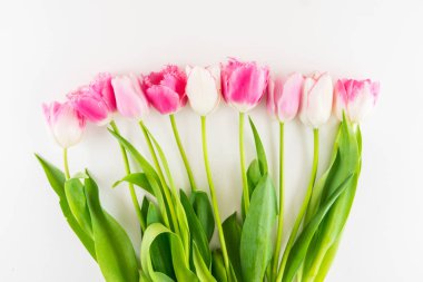 Lale beyaz zemin üzerine pembe ve beyaz buket.