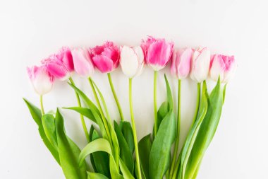 Lale beyaz zemin üzerine pembe ve beyaz buket.