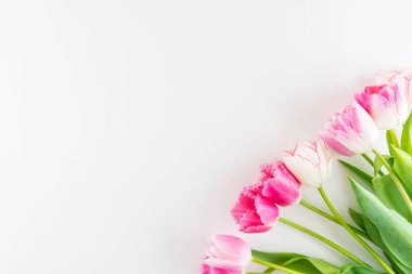 Lale beyaz zemin üzerine pembe ve beyaz buket.