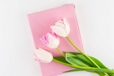 Lale beyaz zemin üzerine pembe ve beyaz buket.