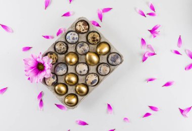 Pembe papatya ve beyaz arka plan üzerinde yumurta kutusundaki altın yumurta.