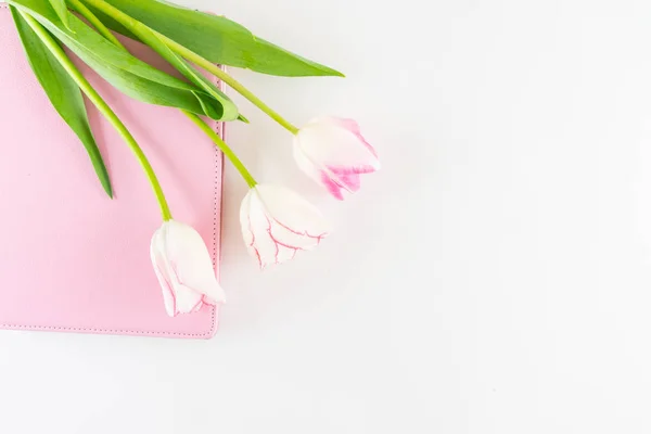 Pink and white bouquet of tulips on white background.