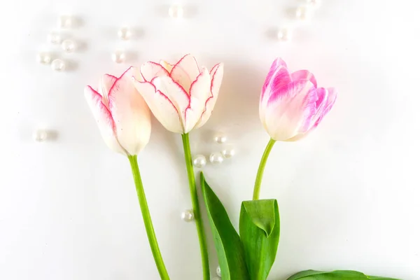 Pink and white bouquet of tulips on white background.