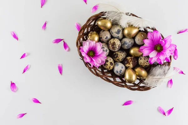 Camomilla rosa, uova d'oro e cesto marrone su sfondo bianco — Foto Stock