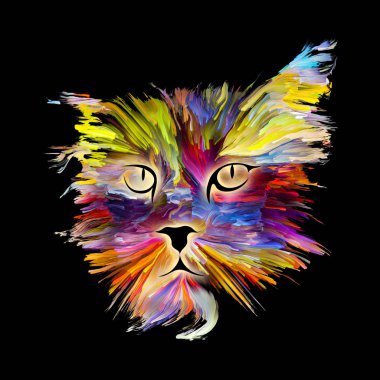 Renkli Kitty