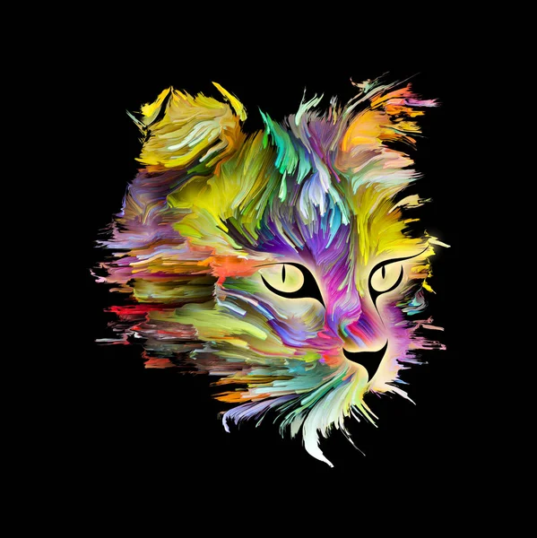 Katt färg — Stockfoto