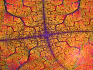 Fraktal serisi. Doğal kendine benzeyen organik kalıpların karmaşık soyut dokusu. Doğa, Geometri, Bilim ve Sanat üzerine tasarım projelerinde kullanılmak üzere.