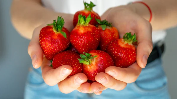 女性の手に新鮮な赤いイチゴ 健康的なライフスタイル — ストック写真
