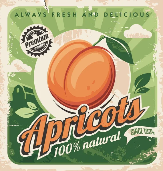 Apricots Design Cartaz Vintage Placa Retro Frutas Agrícolas Orgânicas Naturais — Vetor de Stock