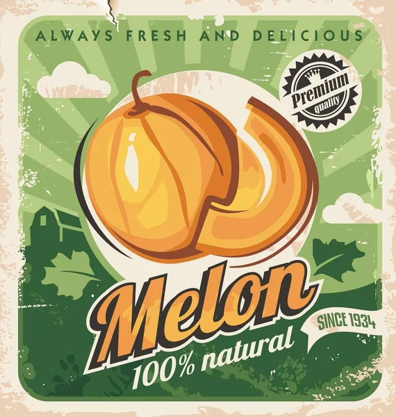 Cantaloupe Melone Retro Plakatdesign Bauernhof Frische Melonen Jahrgang Anzeigenkonzept Obst — Stockvektor