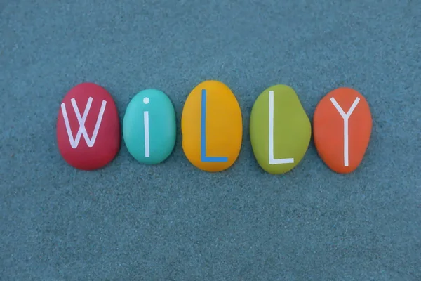 Willy Prénom Masculin Composé Lettres Pierre Multicolores Faites Main Sur — Photo