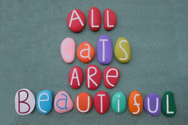 Alle Katzen Sind Wunderschöne Kreative Slogans Die Aus Bunten Steinbuchstaben — Stockfoto