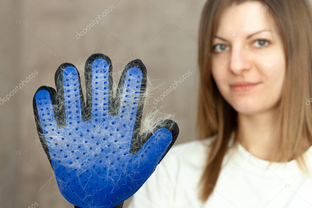 Smiling girl with cat shedding, bathing, grooming, deshedding glove.The glove with cats hair on it. equipment for caring domestic pets and animals wool.