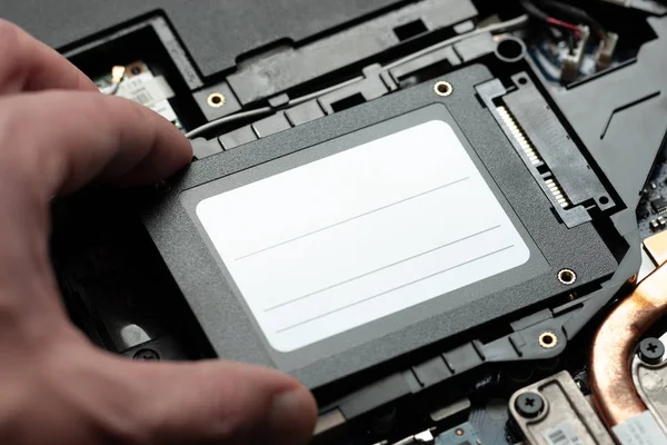 Yeni solid-state sürücü dizüstü bilgisayara yükleme. SATA ve güç bağlantı yakın up.upgrade dizüstü bilgisayar donanım.