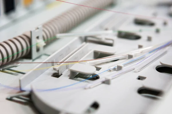 Trabajador comunica cable de fibra óptica en opto box. instalación de nuevo —  Fotos de Stock