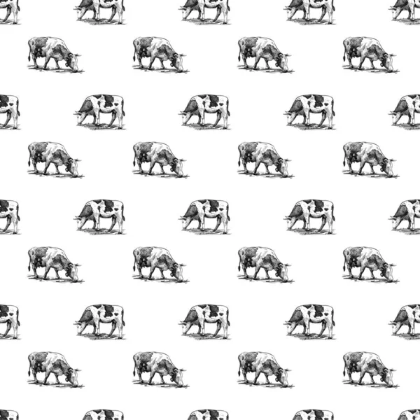 Domestic cows seamless pattern hand drawn in a graphic style. Vintage digital engraving illustration for poster, web, packaging, branding, flyer, print. Isolated on white background