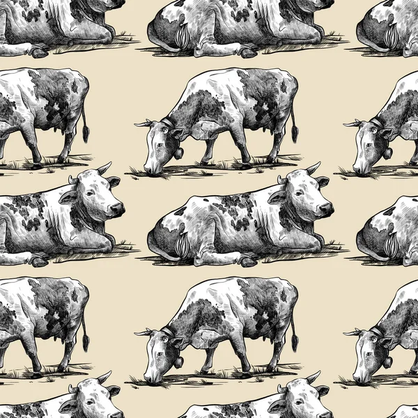 Gospodarstwa Krowy Bezszwowe Wzór Strony Rysowane Stylu Graficznym Vintage Cyfrowe — Zdjęcie stockowe