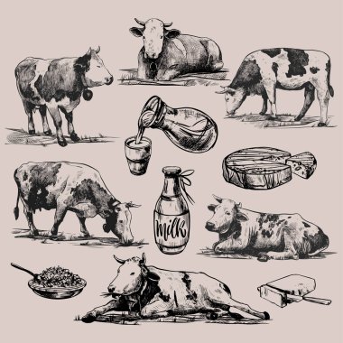 Çiftlik ürünleri ve dağ inekleri. Grafik şeklinde çizilmiş büyük bir set. Poster, ağ, ambalaj, markalaşma, broşür ve baskı için klasik vektör çizimi. Gri arkaplanda izole