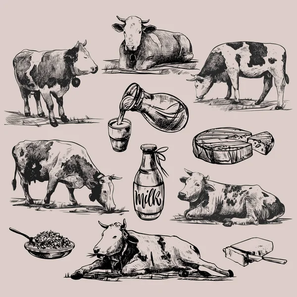 Produtos agrícolas e vacas alpinas mão grande conjunto desenhado em um estilo gráfico. Vintage vetor gravura ilustração para cartaz, web, embalagem, marca, folheto, impressão. Isolado em fundo cinza — Vetor de Stock