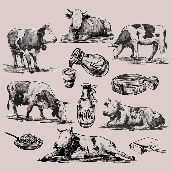 Produits agricoles et vaches alpines grand ensemble main dessinée dans un style graphique. Illustration de gravure vectorielle vintage pour poster, web, packaging, branding, flyer, print. Isolé sur fond gris — Image vectorielle