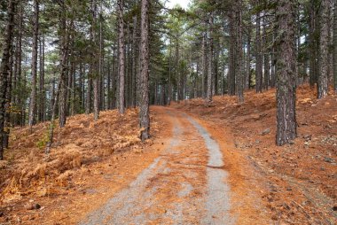 Varanasi, Hindistan - 12 Mart 2017: İnsanlar ve nehir Ganj Varanasi şehir Hindistan'ın kutsal şehir Bankası renkli tekneler