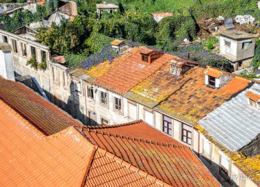 Bacalar ve bitkiler bağlantı noktası Portekiz ile renkli çatıları