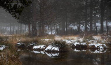 Donmuş göl ve yerde Troodos Dağları, Kıbrıs, kar ile pastoral kış manzarası