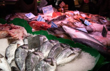 Buzda balık Market Barselona da pişirilmeli hazır taze çiğ balık