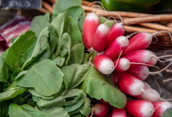 Remolacha, verdura llena de nutrición para un estilo de vida saludable — Foto de Stock