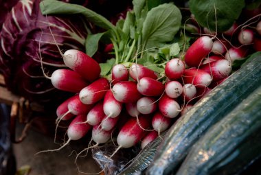 Pancar, sağlıklı yaşam için beslenme sebze dolu
