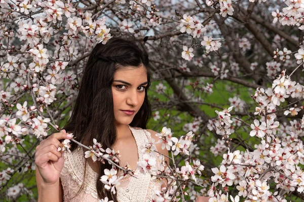 Atractiva joven hermosa dama, disfrutando de la flor de ciruela de primavera f —  Fotos de Stock