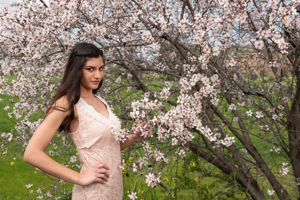 Atractiva joven hermosa dama, disfrutando de la flor de ciruela de primavera f —  Fotos de Stock