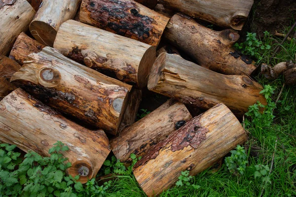 Piles of hard wood for charcoal or burned in a fireplace — Stock Photo, Image