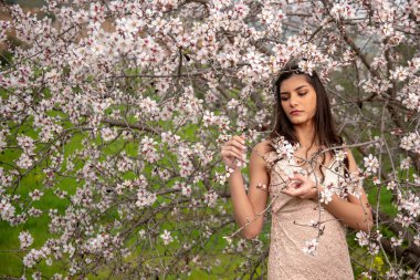 Bahar Erik çiçeği fl zevk çekici genç güzel Bayan