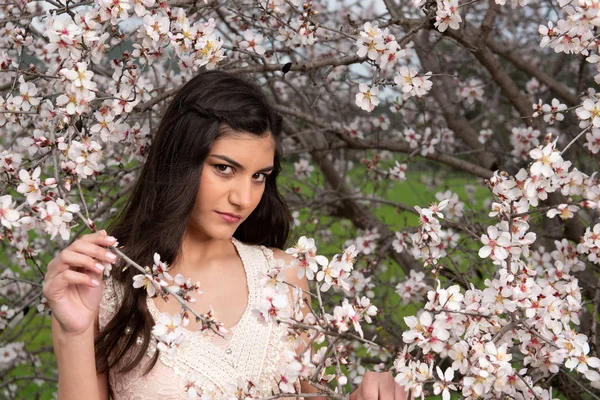 Atractiva joven hermosa dama, disfrutando de la flor de ciruela de primavera fl —  Fotos de Stock