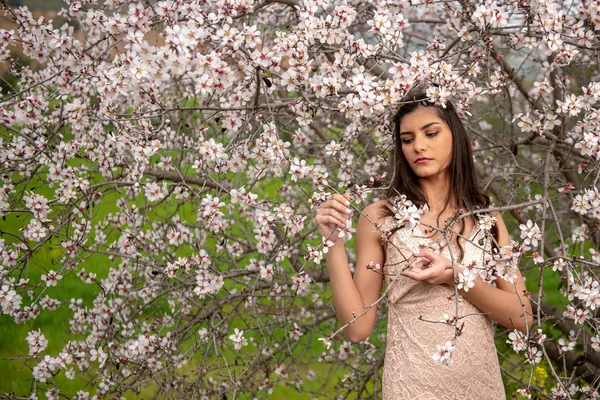Приваблива молода красива леді, насолоджуючись весняним цвітінням сливи — стокове фото