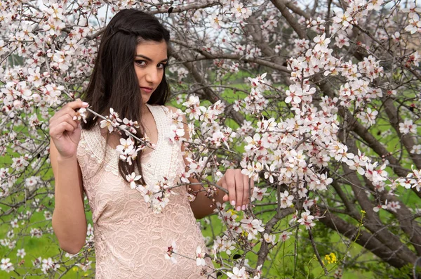 Atractiva joven hermosa dama, disfrutando de flores de ciruela de primavera —  Fotos de Stock