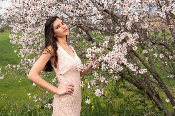 Atractiva joven hermosa dama, disfrutando de la flor de ciruela de primavera fl —  Fotos de Stock