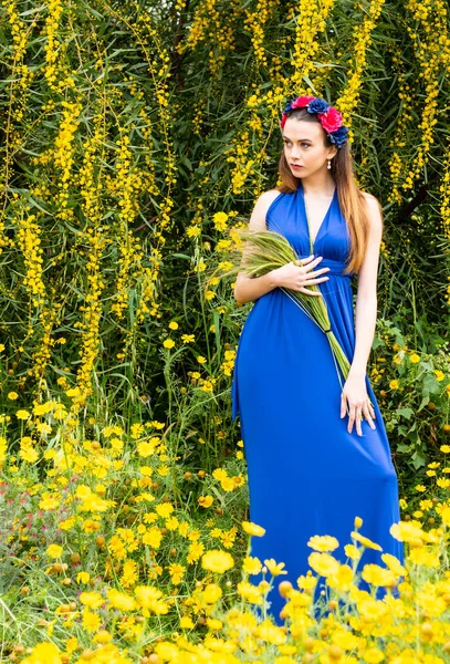 Atractiva joven hermosa mujer en el campo de primavera —  Fotos de Stock