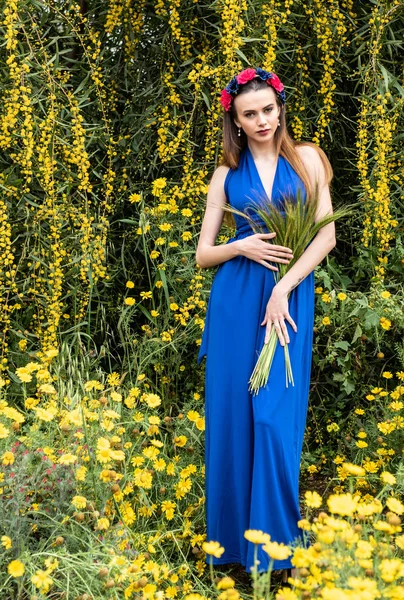 Atractiva joven hermosa mujer en el campo de primavera —  Fotos de Stock