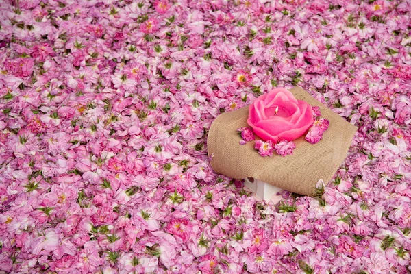 Lit de fleurs de roses roses — Photo