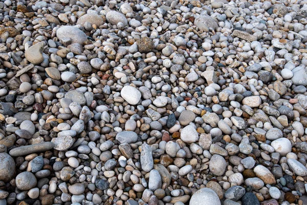 Pebbles on the beach — Stock Photo, Image