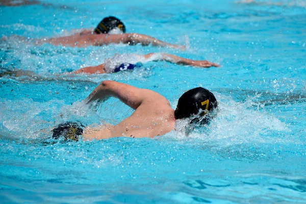 Athletes swimming freestyle on a swimming pool — Stock Photo, Image