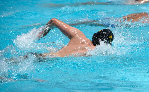 Atletas nadando estilo libre en una piscina —  Fotos de Stock