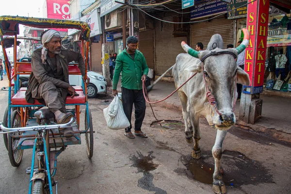 Menschen und die heilige Kuh in den StrassenNew Delhi City in Indien. — Stockfoto