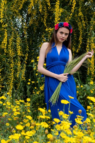 Приваблива молода красива жінка на весняному полі — стокове фото