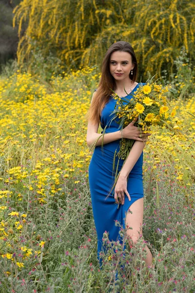 Atractiva joven hermosa mujer en el campo de primavera —  Fotos de Stock