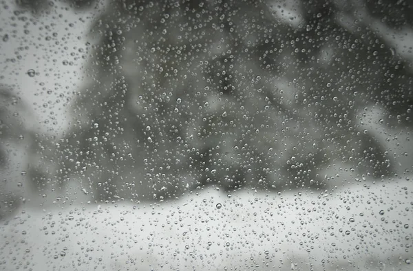 窗玻璃上的雨滴 — 图库照片