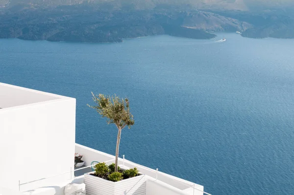 Detalles Arquitectónicos Blancos Con Olivo Hermosa Vista Del Mar Egeo —  Fotos de Stock