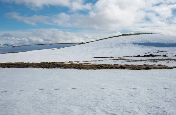 Typisch Ijslands Landschap Met Bergen Weilanden Bedekt Met Sneeuw Het — Stockfoto